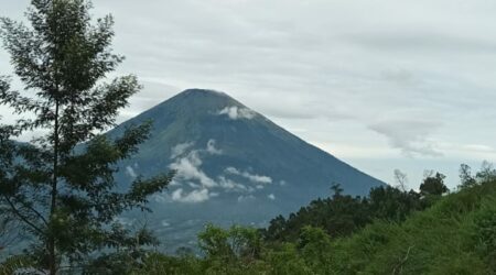 naik gunung sumbing