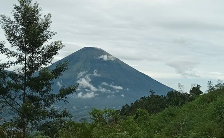 naik gunung sumbing